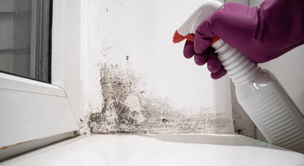 Best Commercial water damage restoration  in Garrison, ND